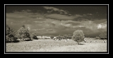 Pre Normandie infrarouge